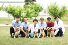 체세포 복제 특수목적견 탄생