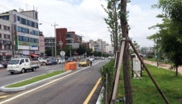 청라BRT 주변 교통표지판엉망