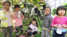 수확의 기쁨 달콤