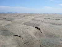 대이작도 풀등 15년 내 사라질 수도