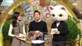 동물농장 정선희 2주 연속 방송 불참 독감이 안 나아서…