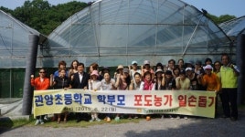 농협 안양시지부, 관양초교 학부모 포도농가 일손 도와