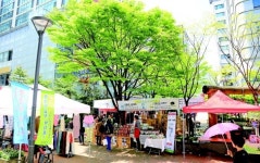 과천시 주말문화장터 재개