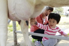 [농업 미래 6차산업에 달렸다] 감성 농촌체험 사람 모인다
