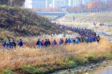[맛따라 길따라] (25) 하남 위례길과 원조잉어집