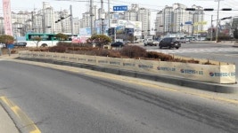 김포시 가로수목 보호 직물펜스 일거양득