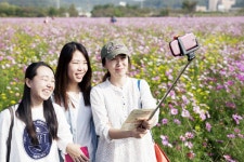 꽃따라 바람따라 … 수도권매립지 드림파크 가을나들이