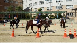 한국마사회 렛츠런 인천연수 찾아가는 마(馬)음속의 말 승마체험교실 개최