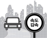 도심속도와 보행자 생명