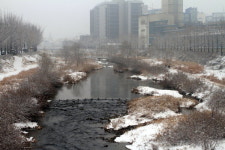 한강도 어는데 … 안양·학의천 안 얼어