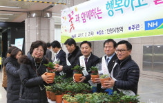 화훼농업 다시 활짝 피길