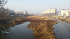 남양주, 하천 재해예방 하상정비사업 본격 추진