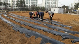 안산시 원곡본동 신길문화센터 부지 자연체험농장 운영