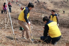 선창산업 나무심기 솔선