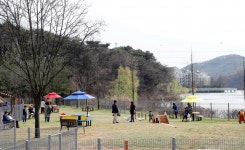 용인에 국내 최대 규모 반려동물 놀이터