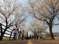 제1회 갈산누리 봄 축제 갈산공원 일원 개최