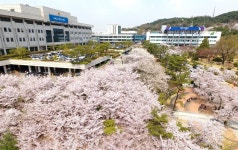 꽃대궐 경기도청 … 웃음·수다꽃 만개