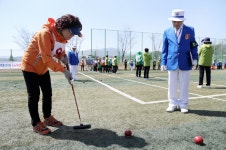경기도 31개 시·군 게이트볼 대회 가평서 개최