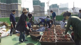 안산시 성포동 주민센터 옥상텃밭 조성