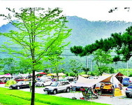 [안유림과 떠나는 경기도 여행] 캠핑의 즐거움