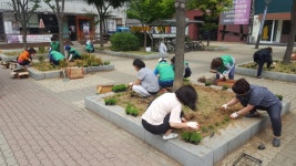 안산시 호수동 새마을부녀회 야생화 쌈지화단 조성