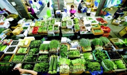 채솟값, 올라도 너무 올랐다