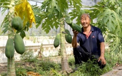 심고 맛보고 수확하고 … 소문난 기분좋은 농장