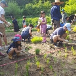 성남분당판교청소년수련관 28일 묵논 농사 추수활동