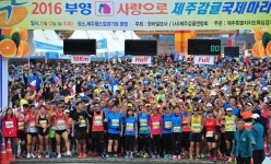 상큼한 감귤향 맡으며 제주를 누비자
