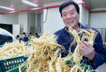 포천 영농법인 세계에 개성인삼의 맛 알리다
