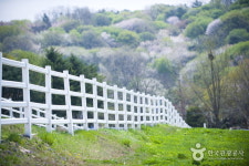 [영화·드라마 촬영지로 떠나는 경기도 낭만여행]14 고양 삼송·원흥역 카페 살롱드비키