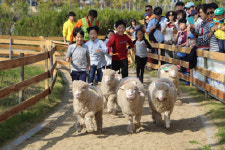 [나는 경기도입니다] 나는 가족입니다 - 안성 팜랜드