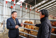 인공수정사 진용선씨 인공수정 통한 가축개량 보급, 축산업 대세