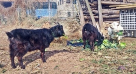 나도 9년 농사꾼 … 미래는 치유농업·농업공원