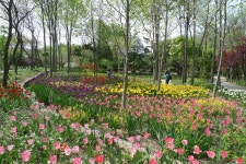 용인,가정의 달 봄나들이 용인에서 즐기세요