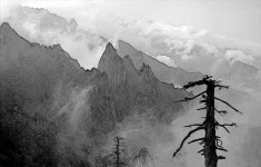 [문화산책] 그리운 금강산