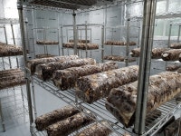 미추홀구 빈집, 도시농장으로 가꾼다