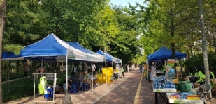 계양구 맥문동 청소년 축제 개최
