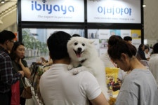 펫, 또 하나의 가족 … 경제 움직이는 복덩이로