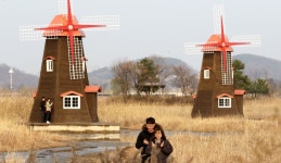 늦가을 물든 소래습지생태공원