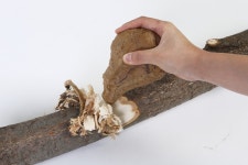 전곡선사박물관 돌·나무 시대로 타임머신 타볼까