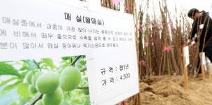 올해는 뭘 심어볼까