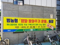 과천농협, 양파 팔아주기 운동 적극 나서