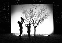 [포토에세이-김성환의 사진이 꿈꾸는 세상] 행복한 그림자놀이