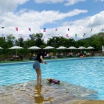 [경기문화읽기] 댕댕이와 함께하는 특별한 나들이