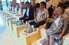 양주 티차연에 힐링 족욕체험장 개소