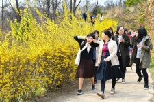 어르신 밥 한끼 사드리자 걷고 또 걸은 광주인