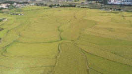 이천시,구만리뜰 시민휴식공간과 역사배움터로 조성 계획