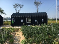 [新청춘시대] 인천 계양 실버농장 지킴이