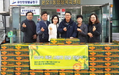 안산 본오1동 취약계층에 귤 선물